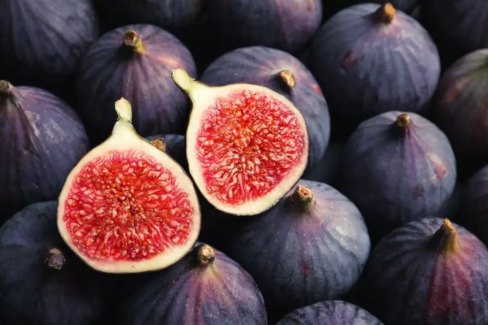 Koristi fig